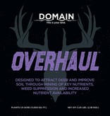 Domain Domain, Overhaul