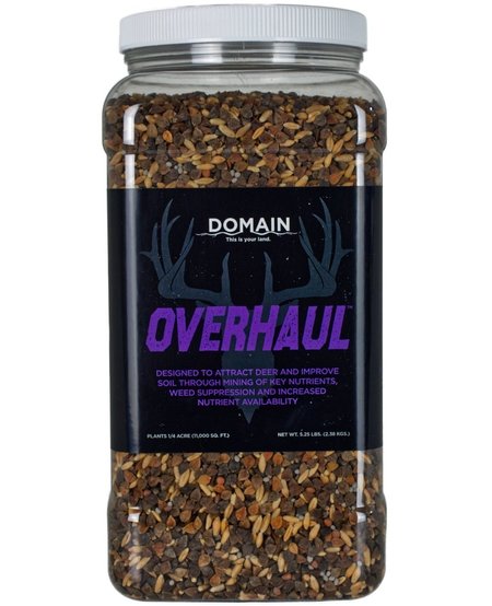 Domain, Overhaul Domain, Overhaul