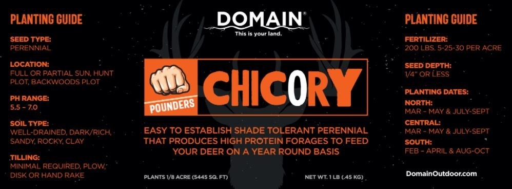 Domain Domain, Chicory, #1