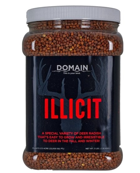 Domain, Illicit, 3#