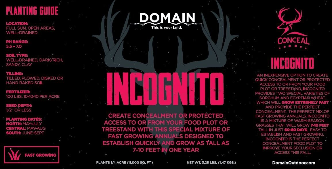 Domain Domain, Incognito, 3#