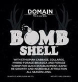 Domain Domain, Bombshell