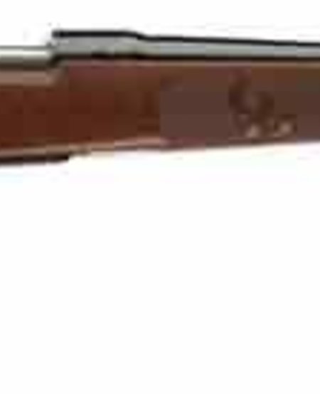 Winchester, Model 70 Featherweight, 243 Win, 5+1, 22", Brushed Polish Blued/Satin Walnut