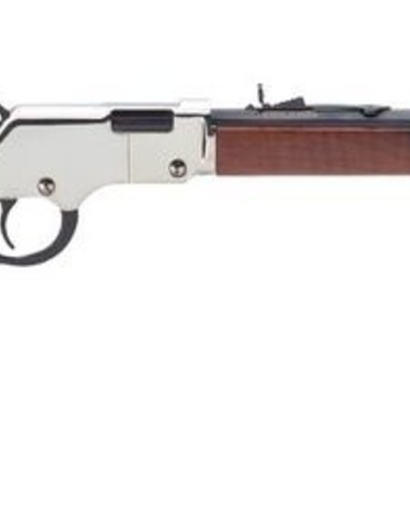 Henry, Golden Boy Silver, 22 S/L/LR, 20" OCTAGON, WALNUT