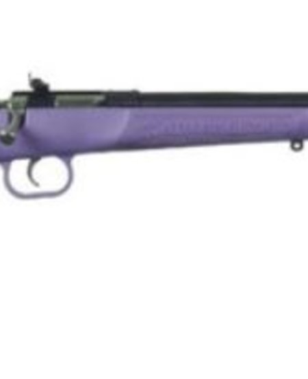 Crickett, 22 LR, 1rd, 16.12", Blued/Purple Synthetic Stock