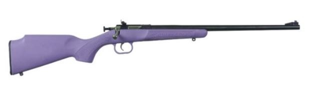 Keystone Sporting Arms Crickett, 22 LR, 1rd, 16.12", Blued/Purple Synthetic Stock