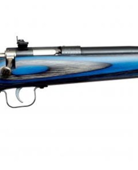 Crickett, 22 LR, 1rd, 16.12", Blued/ Blue Laminate Stock