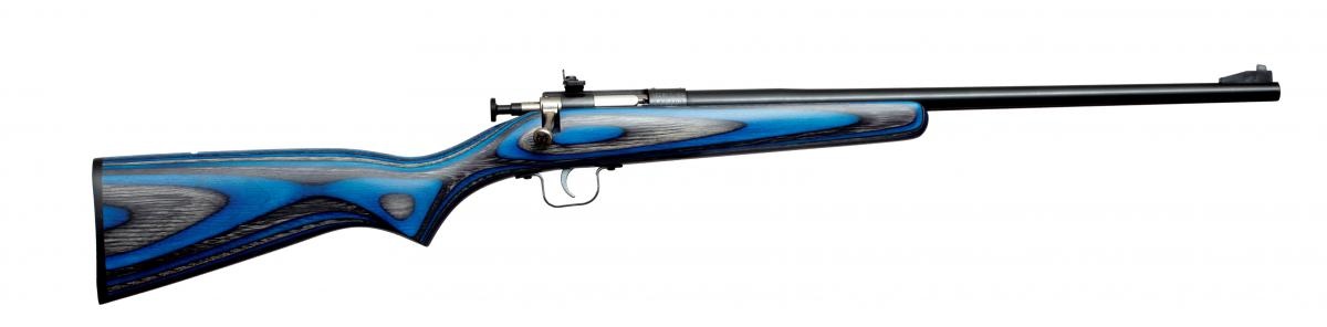 Keystone Sporting Arms Crickett, 22 LR, 1rd, 16.12", Blued/ Blue Laminate Stock