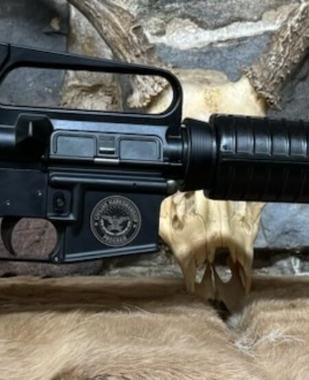 *USED* Bushmaster, XM-15 E2S, 5.56/223, 30+1, 1 Mag, CMP Special