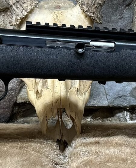 *USED* Savage, 64, Semi, 22LR, 10+1, 3 Mags, Scope
