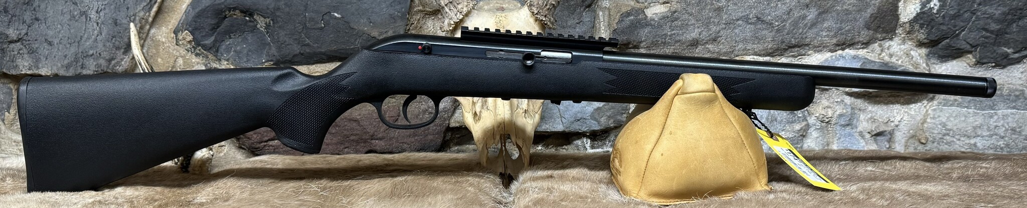 Savage *USED* Savage, 64, Semi, 22LR, 10+1, 3 Mags, Scope