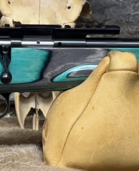 *USED* Savage, Rascal, 22LR, 16" TB, 1 RD, Teal Laminate, Scope Mount