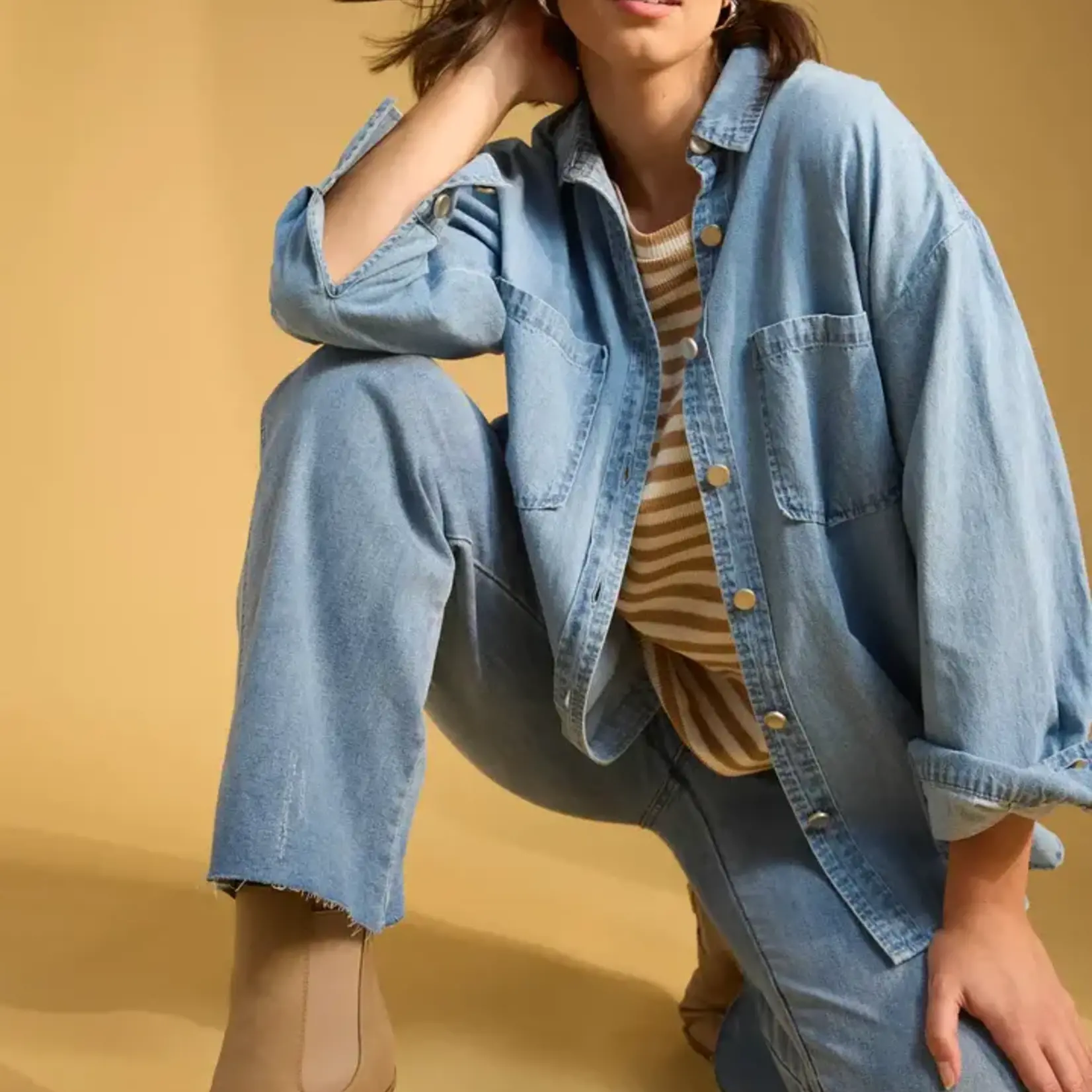 Haven Austin Denim Shirt
