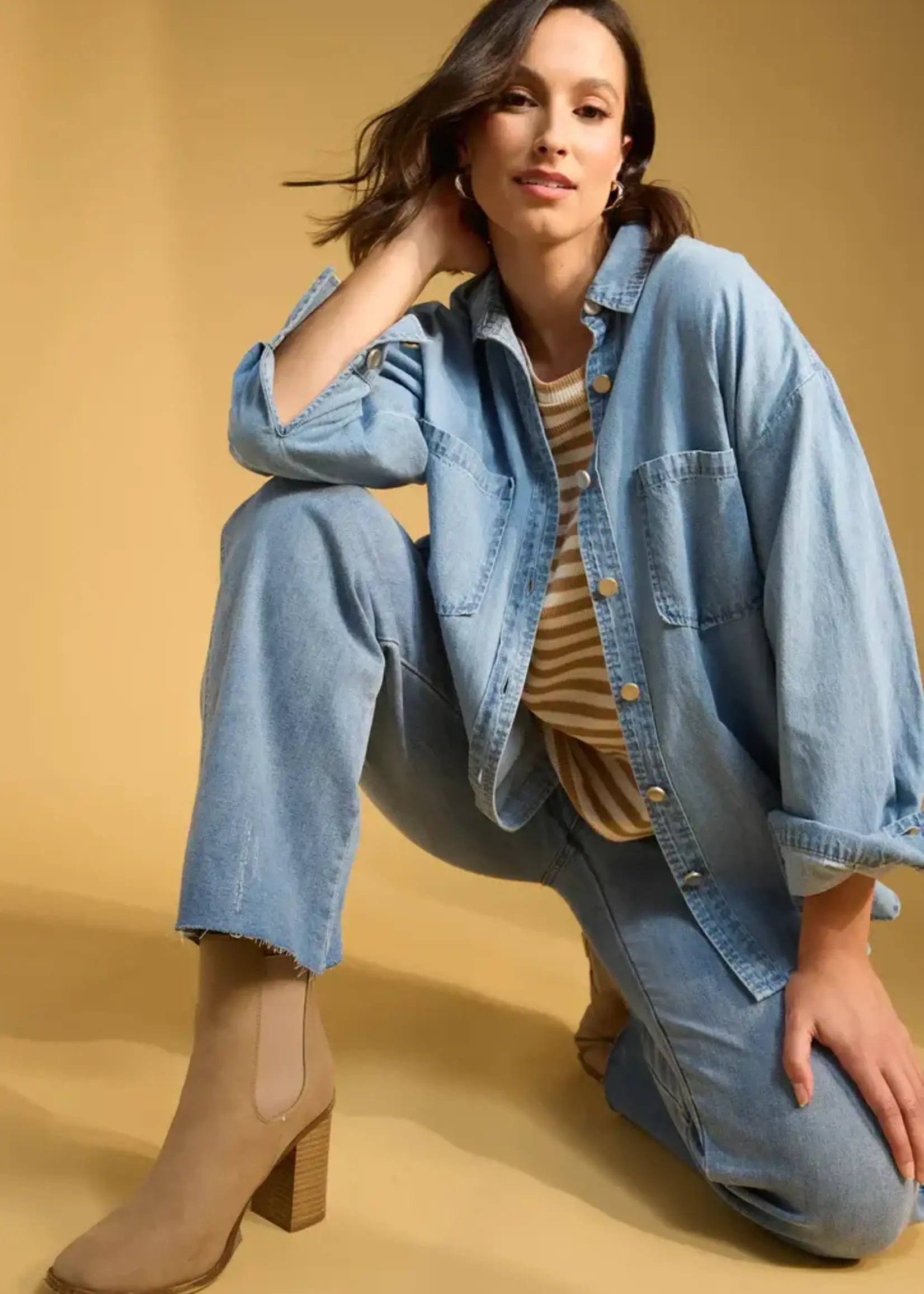 Haven Austin Denim Shirt