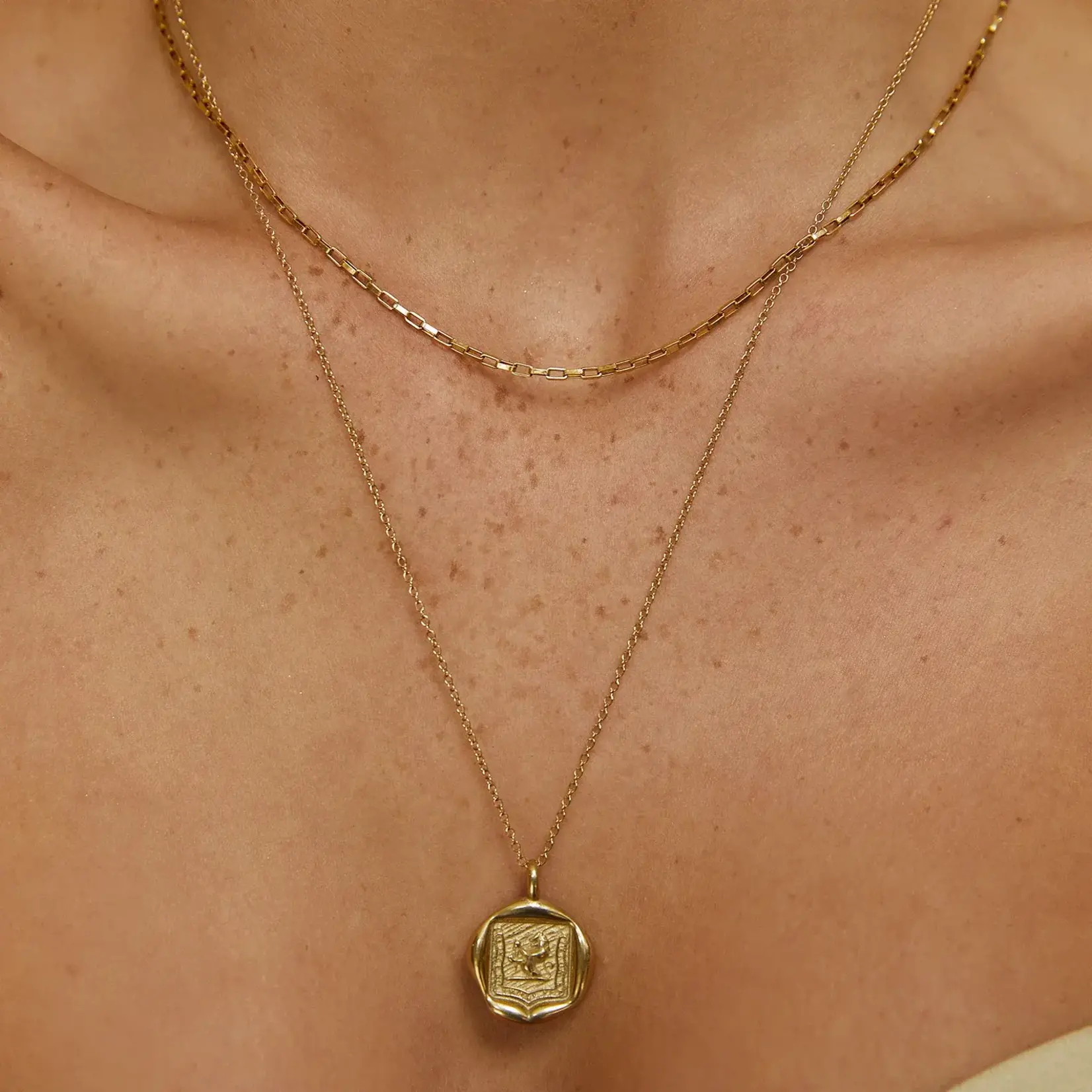 Arms Of Eve Sarabi Gold Necklace