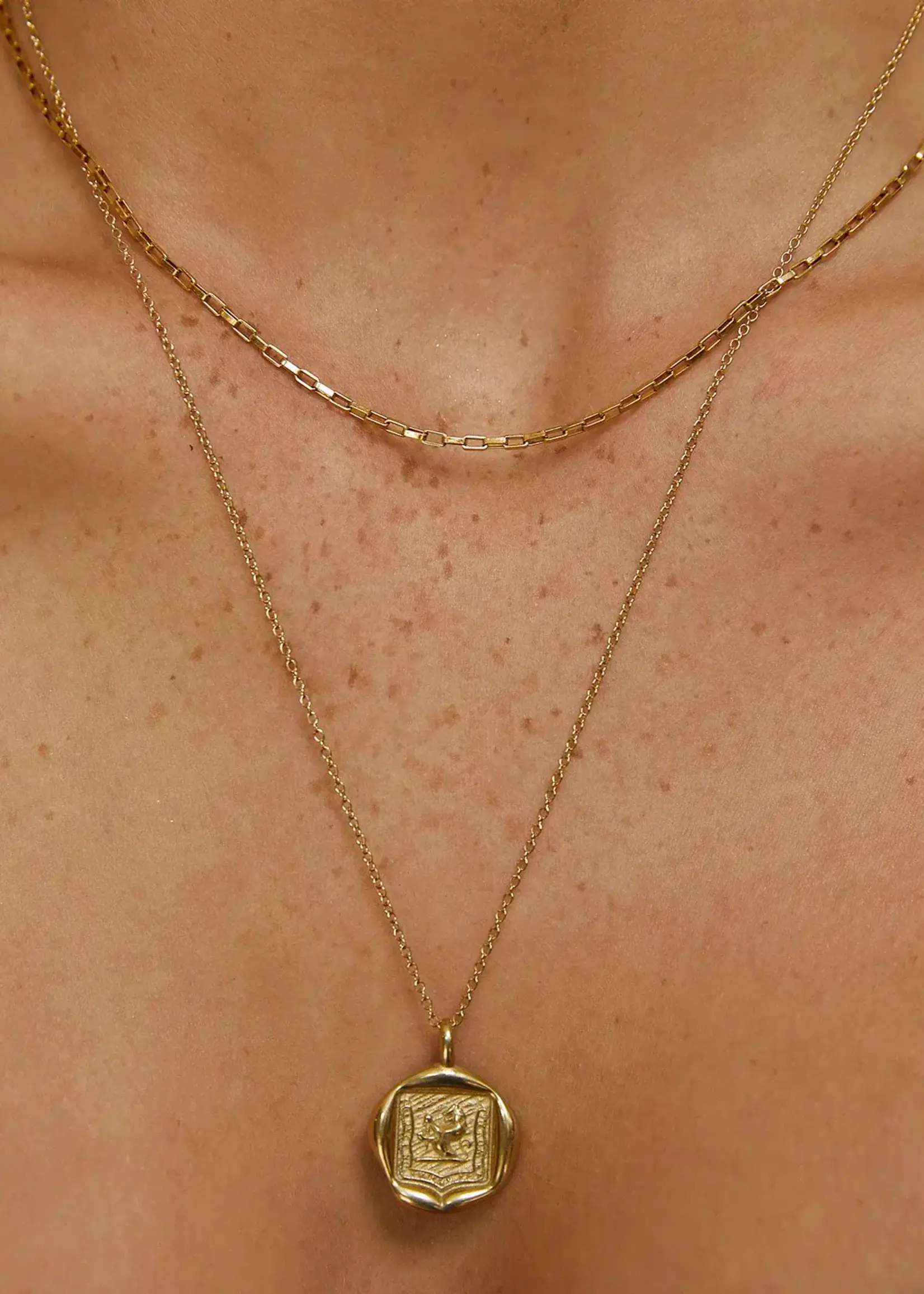 Arms Of Eve Sarabi Gold Necklace