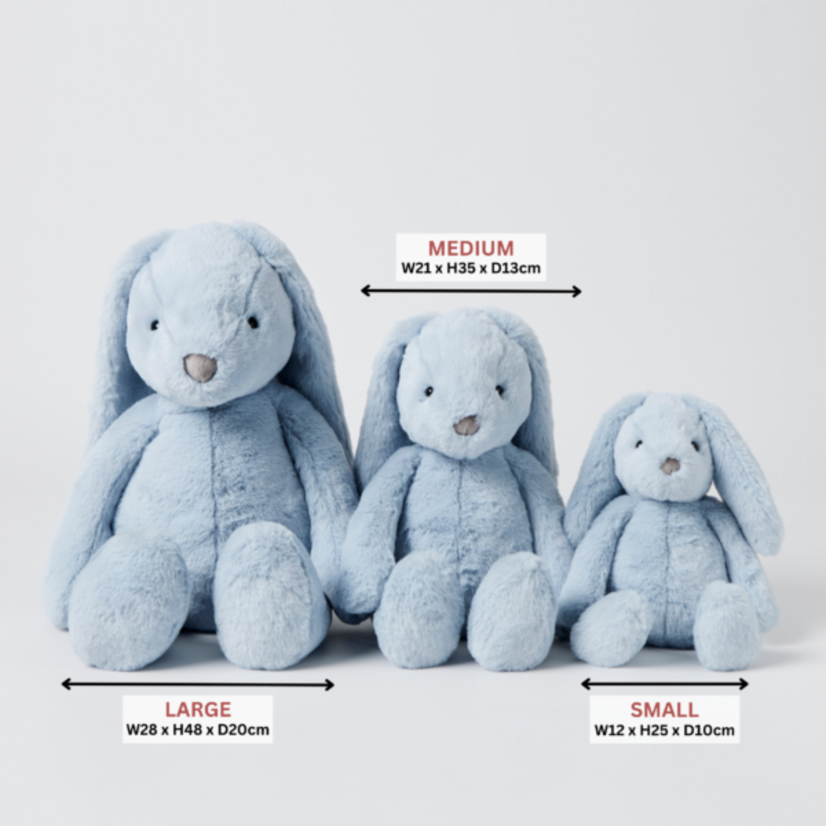 Pale Blue Bunny