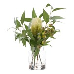 Isalbi Native Banksia Hum Nut Mix-Pail Vase