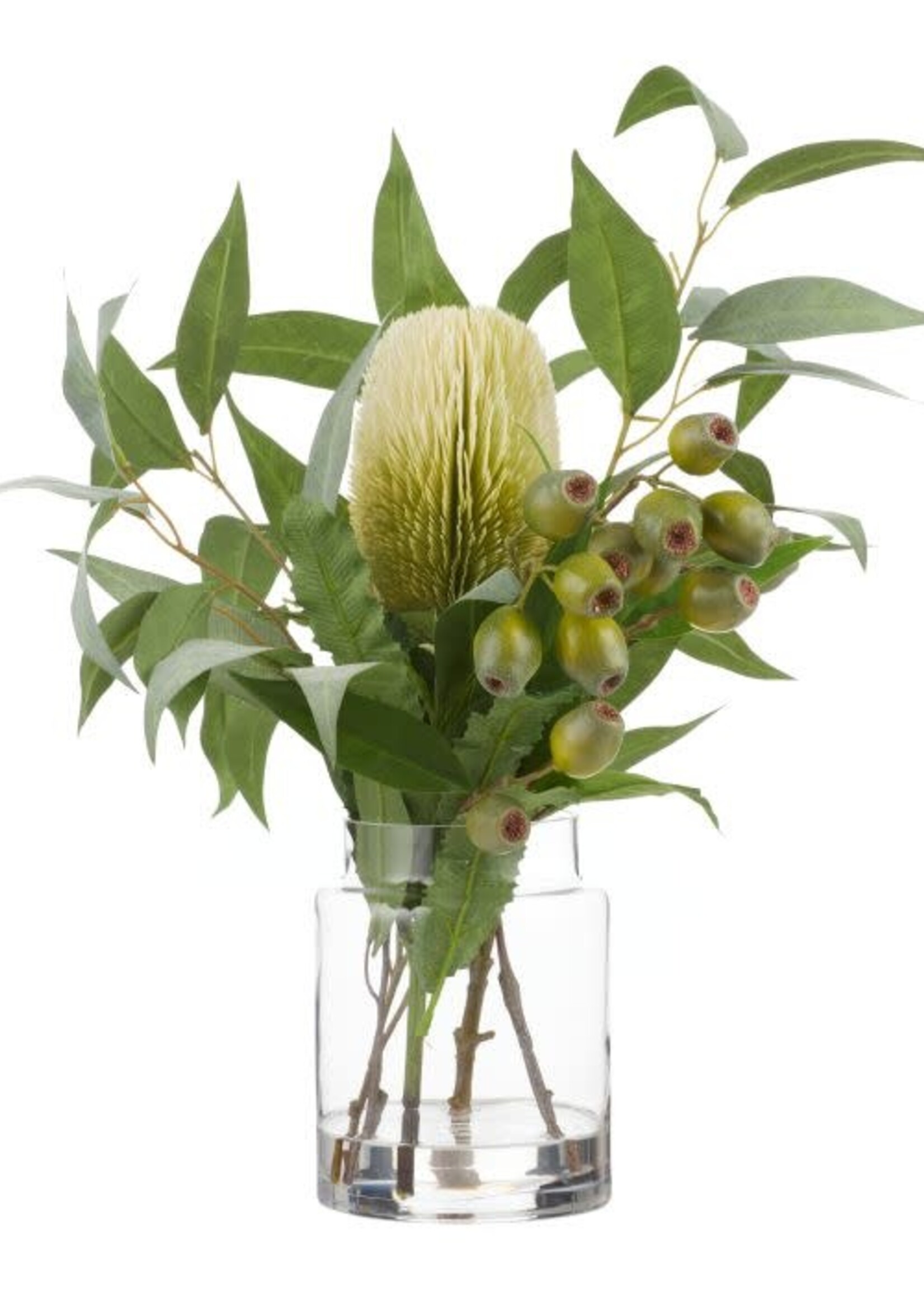 Isalbi Native Banksia Hum Nut Mix-Pail Vase