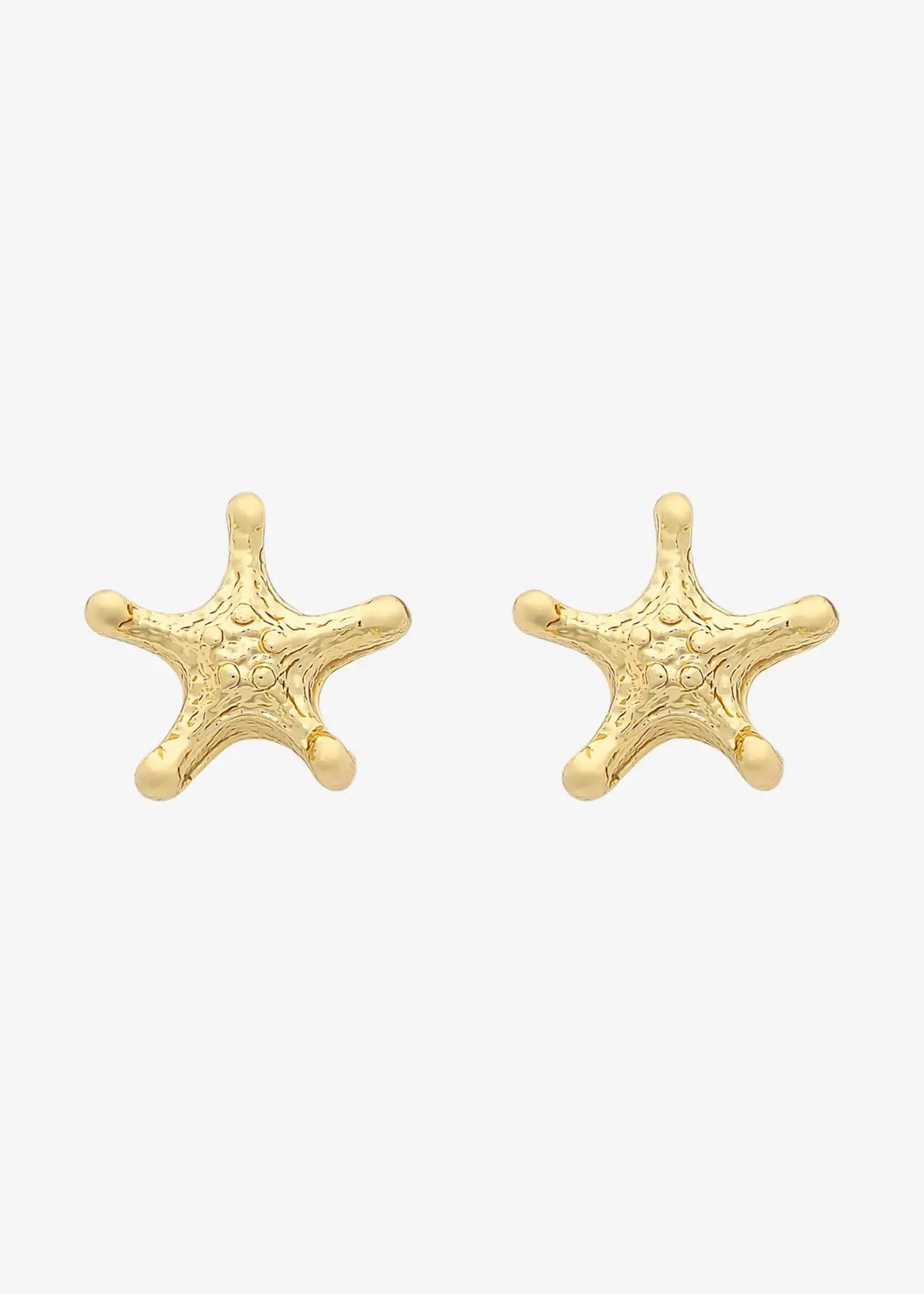Liberte Petite Bondi Gold Earring