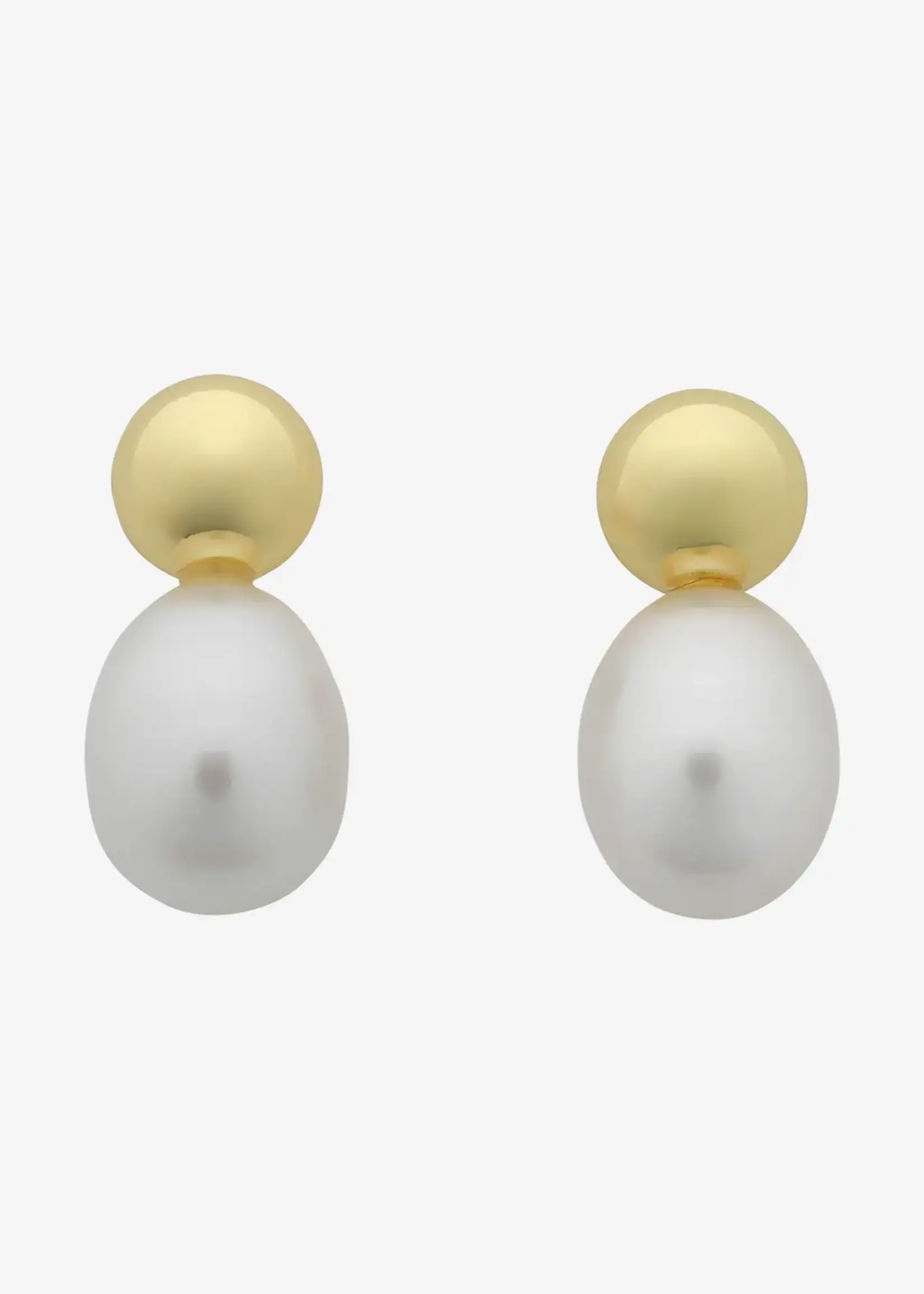 Liberte Cove Gold Pearl Earring