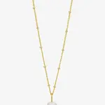 Liberte Cove Gold Necklace