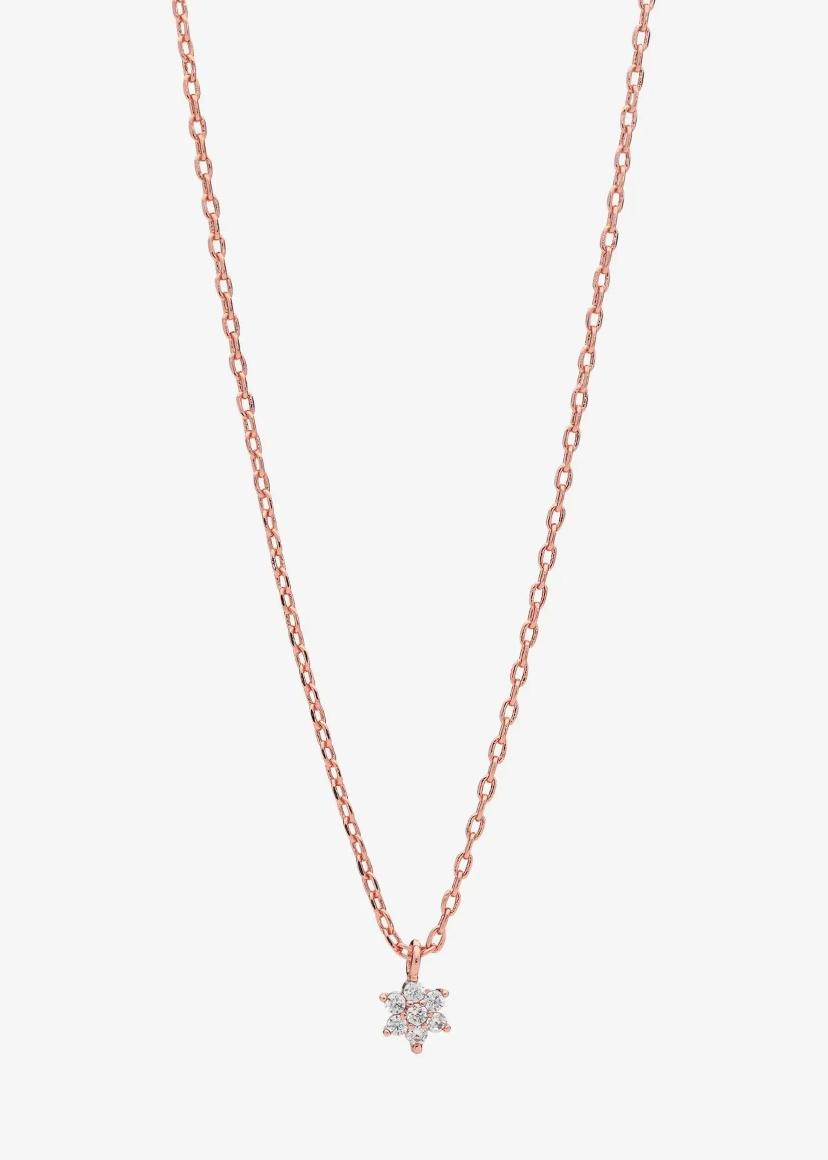 Liberte Petal Rose Gold Necklace