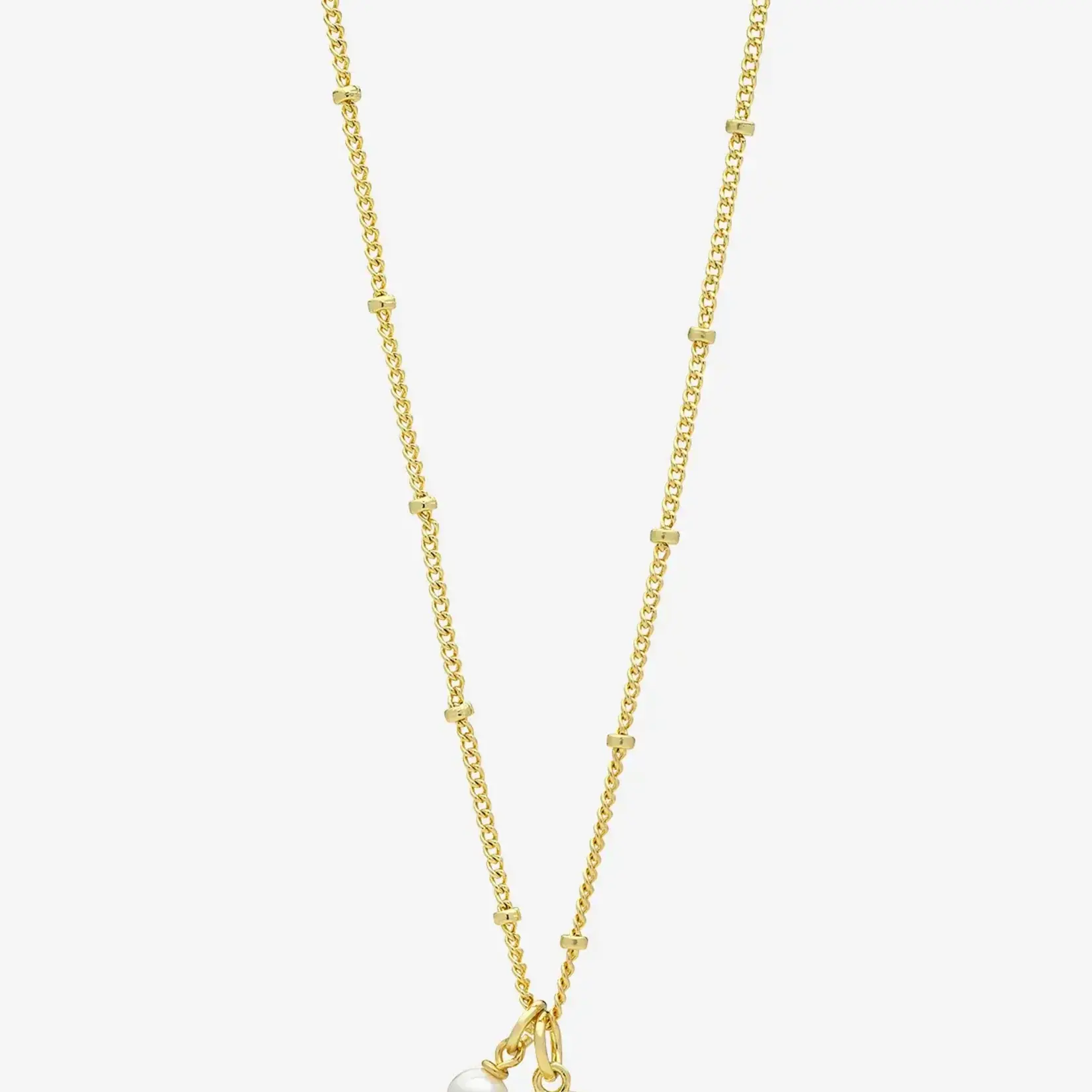 Liberte Coast Gold Necklace