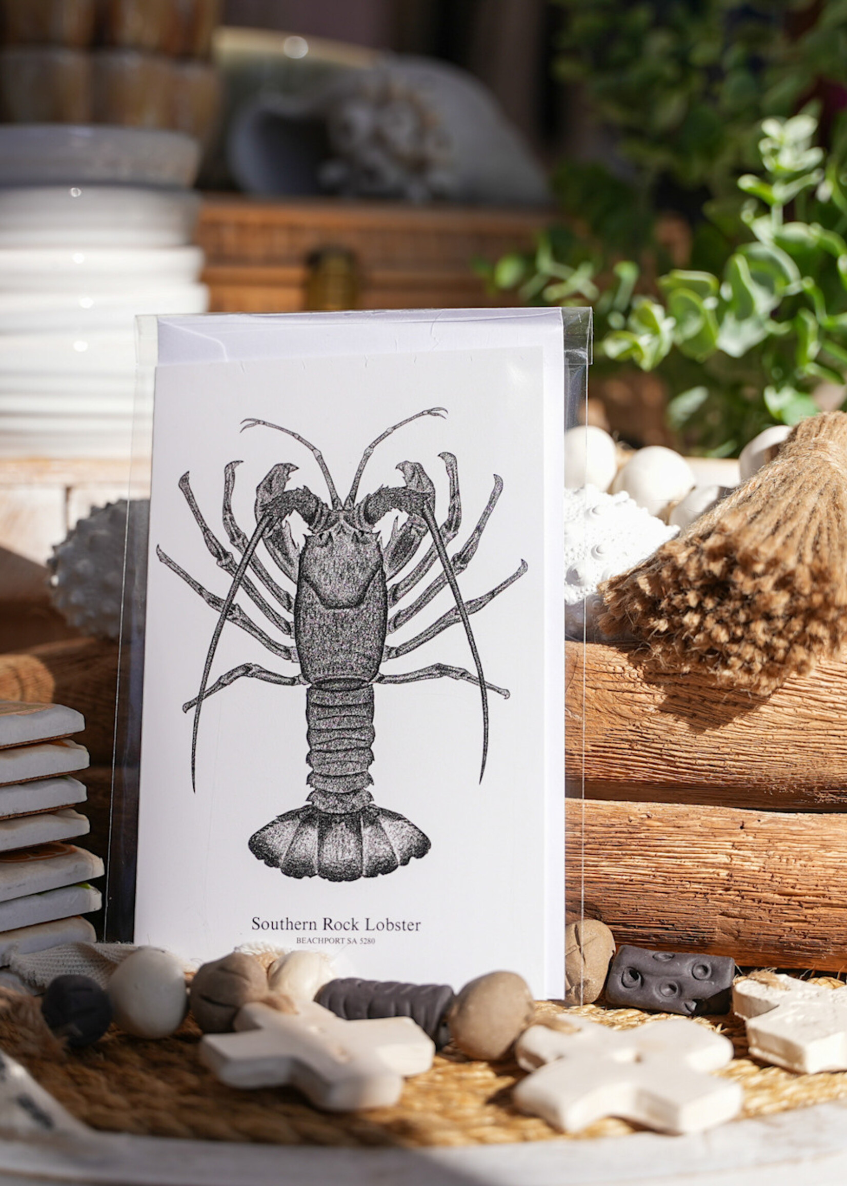 South Coast Supply Southern Rock Lobster - Card