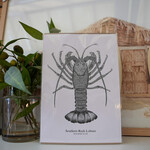 South Coast Supply Southern Rock Lobster - A4 Art Print