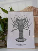 South Coast Supply Southern Rock Lobster - A4 Art Print