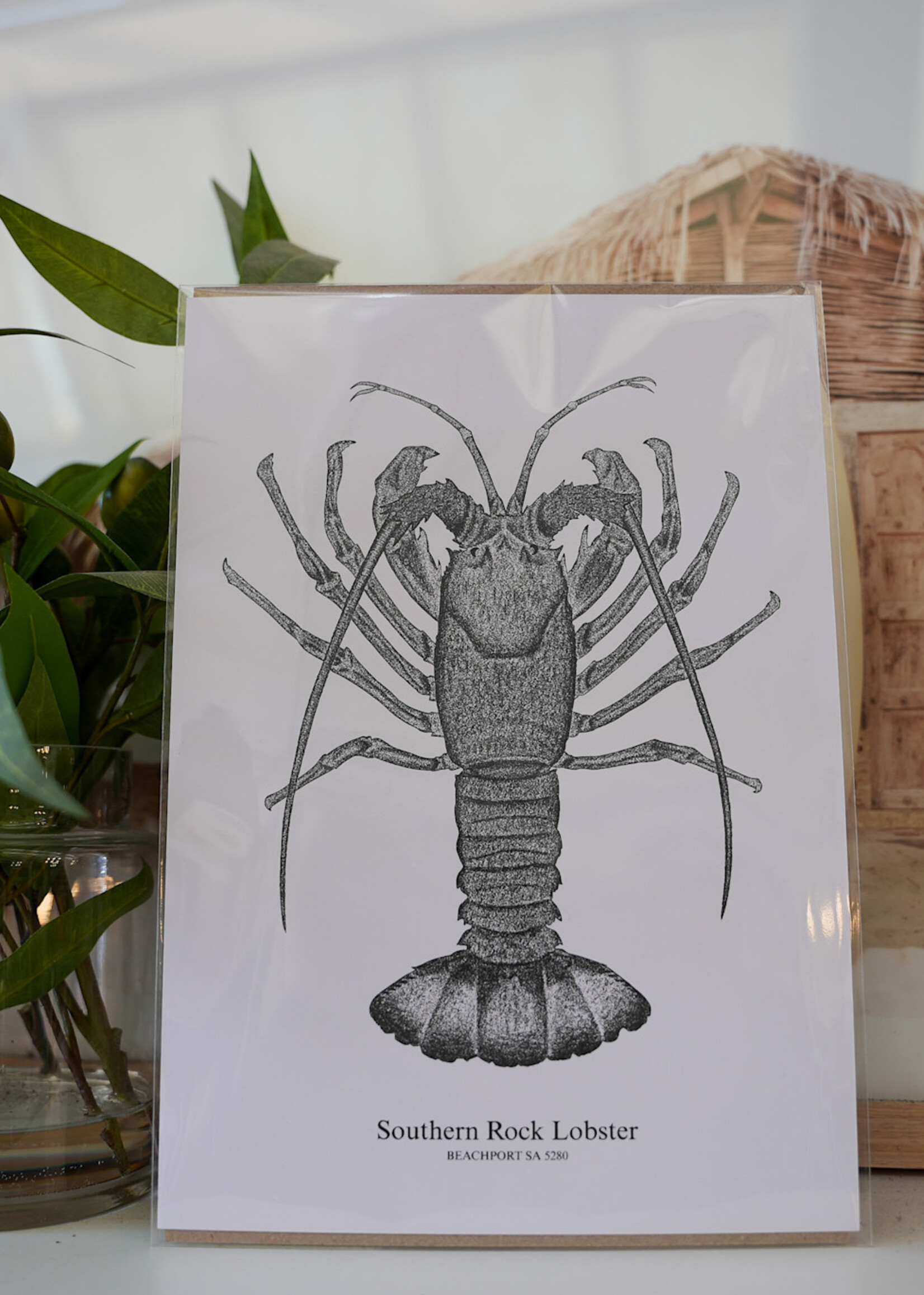 South Coast Supply Southern Rock Lobster - A4 Art Print