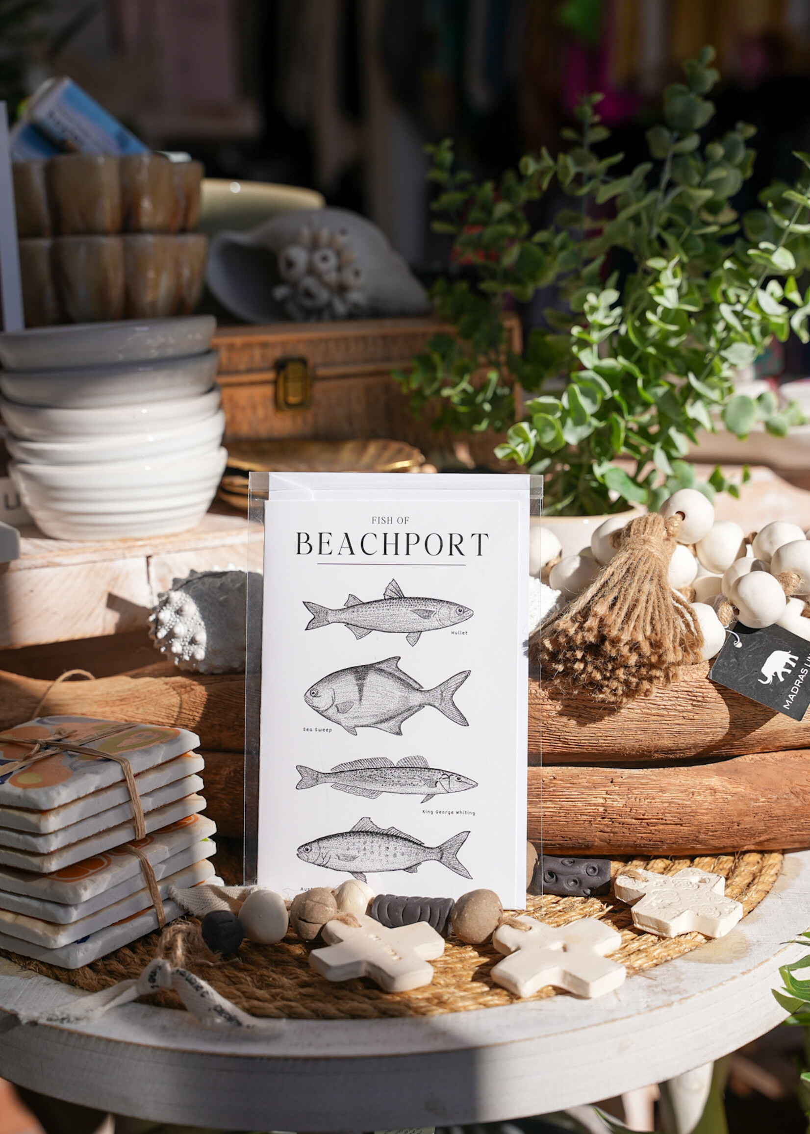 South Coast Supply Fish of Beachport - Cards