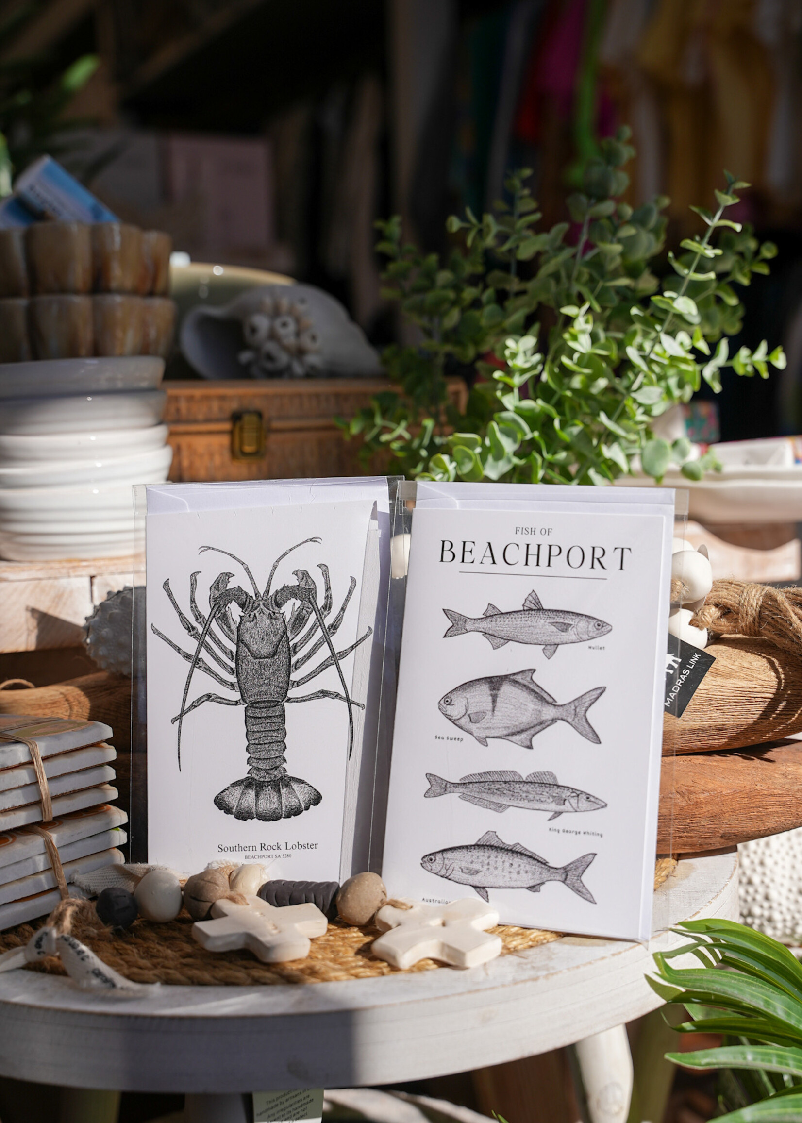 South Coast Supply Fish of Beachport - Cards