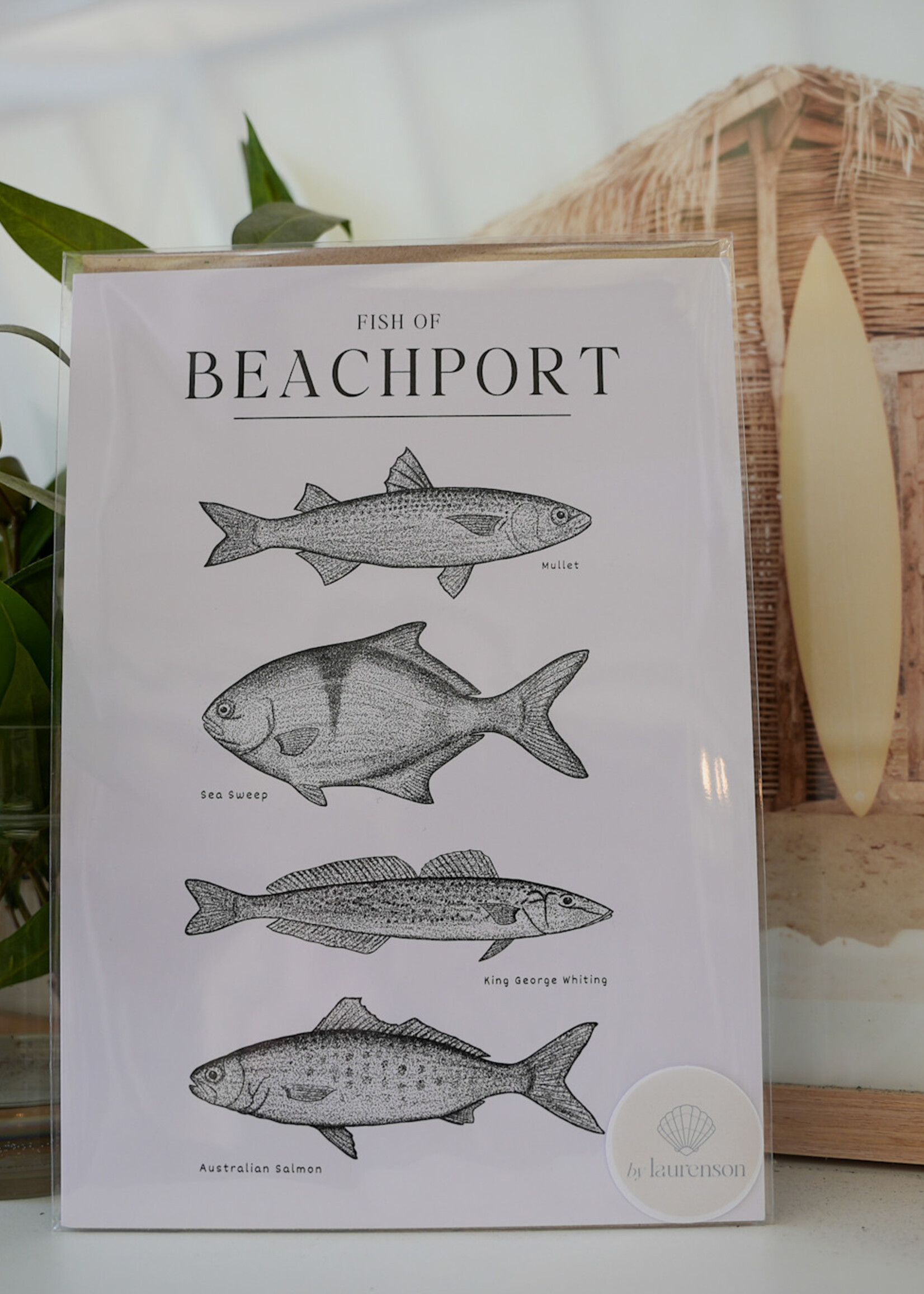 South Coast Supply Fish of Beachport - A4 Art Print