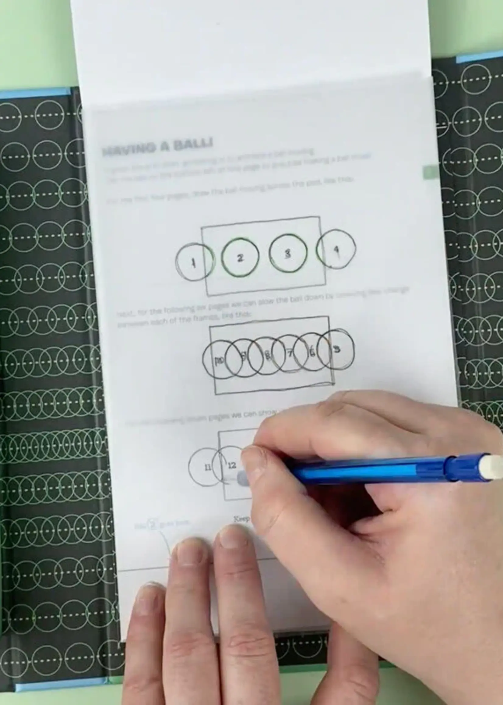 Tiger Tribe Flip Book Kit