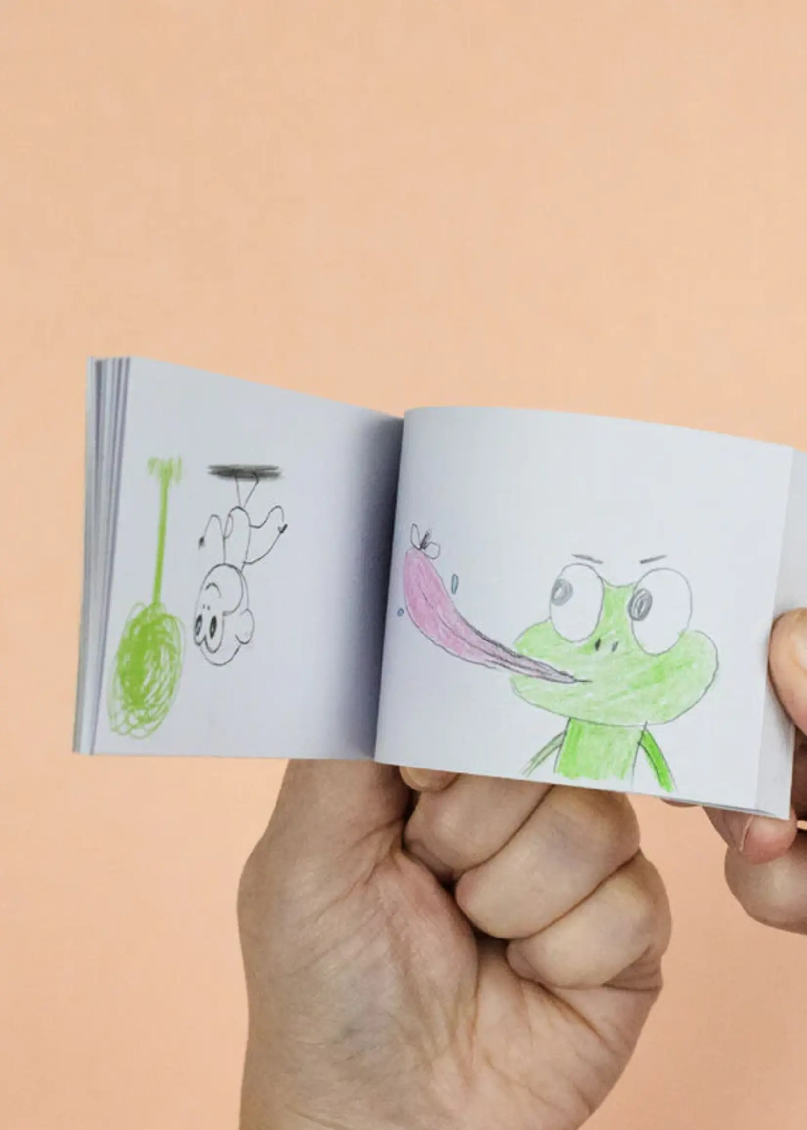 Tiger Tribe Flip Book Kit