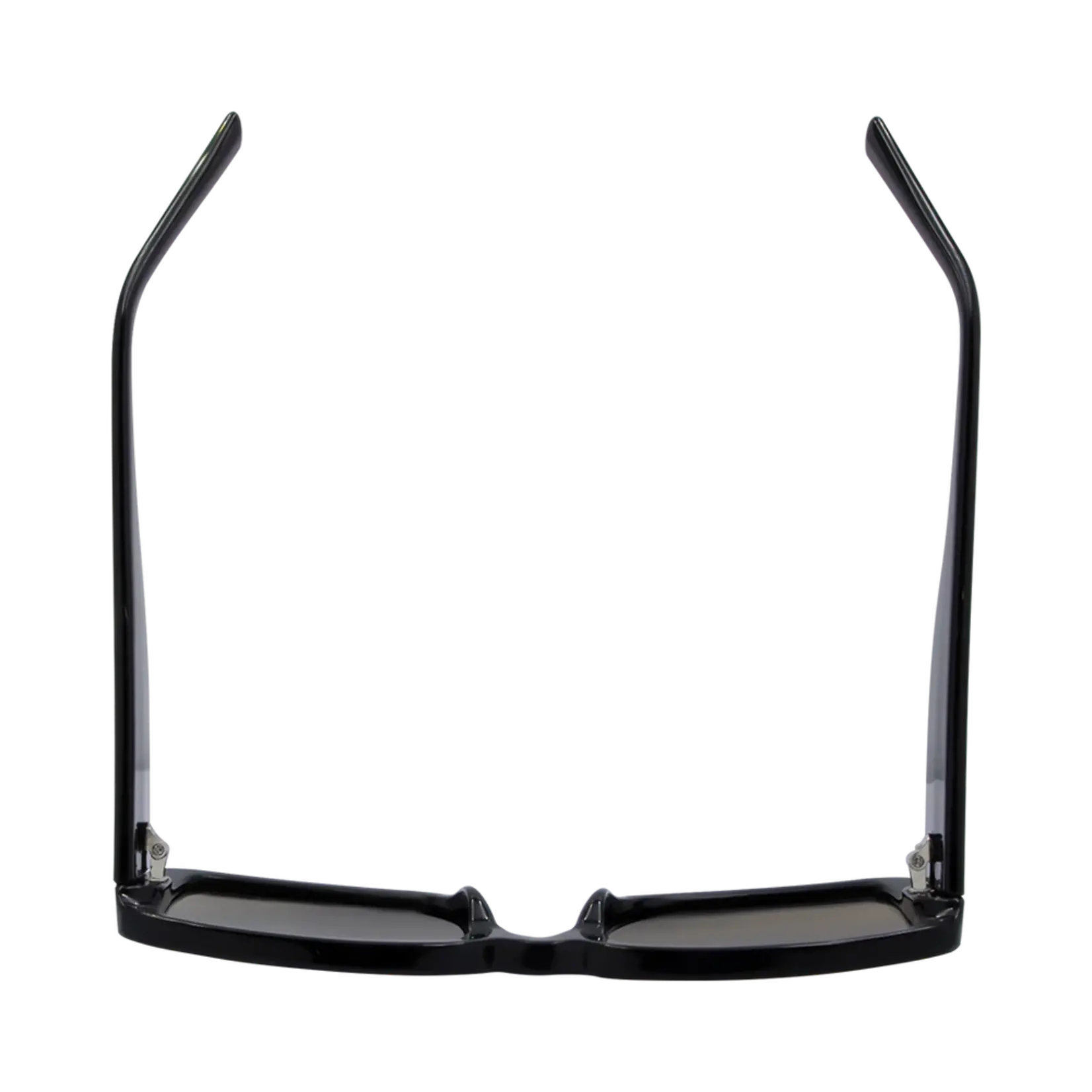 One Day Luna Sunglasses - Black Brown
