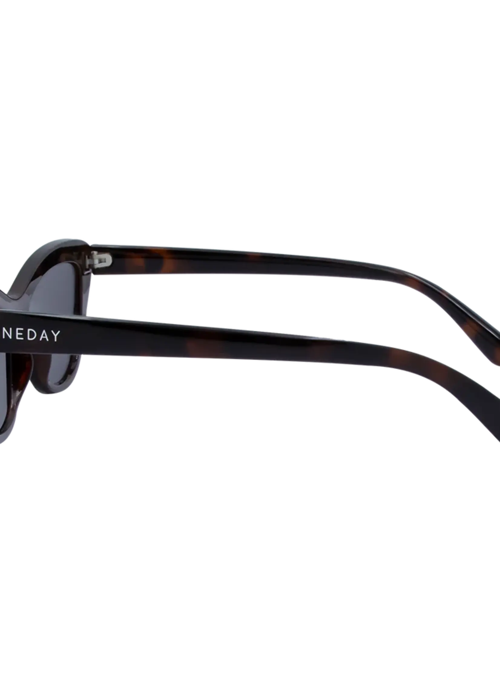 One Day Desorbo Sunglasses - Tortoise Smoke