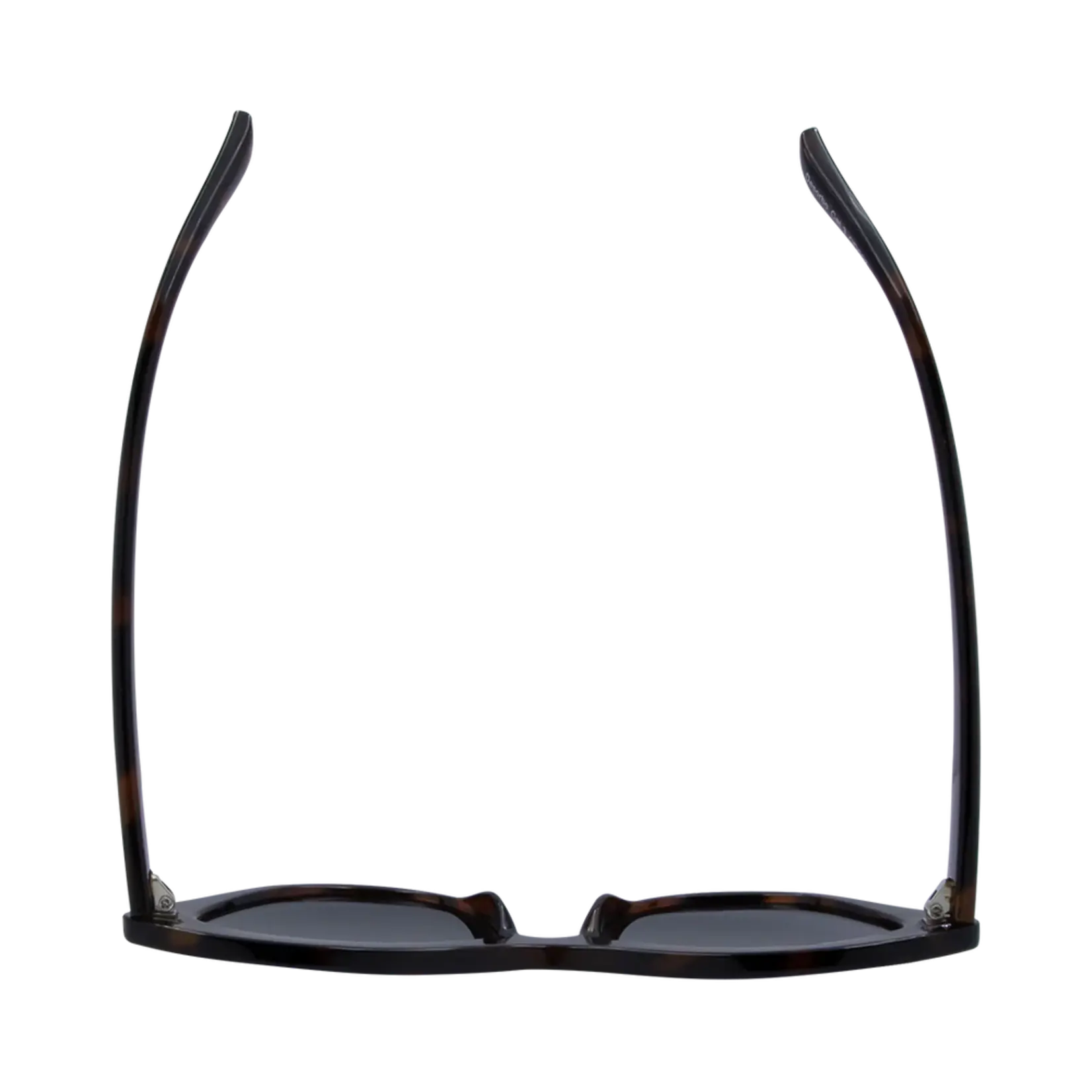 One Day Desorbo Sunglasses - Tortoise Smoke