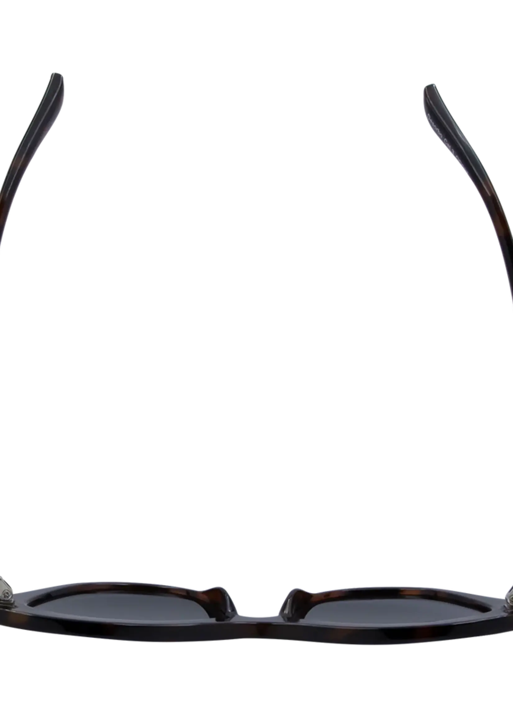 One Day Desorbo Sunglasses - Tortoise Smoke