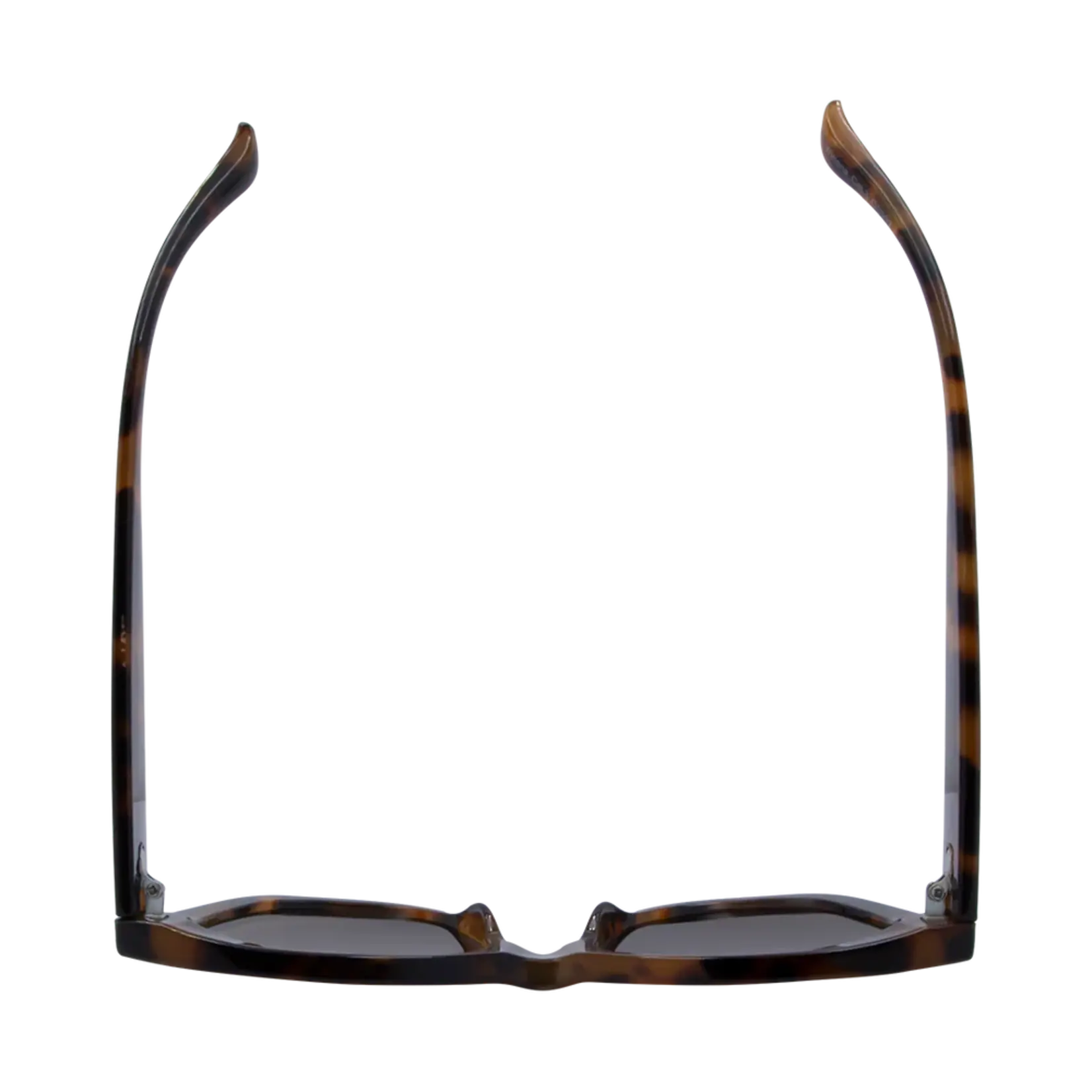 One Day Winona Sunglasses - Tortoise Brown