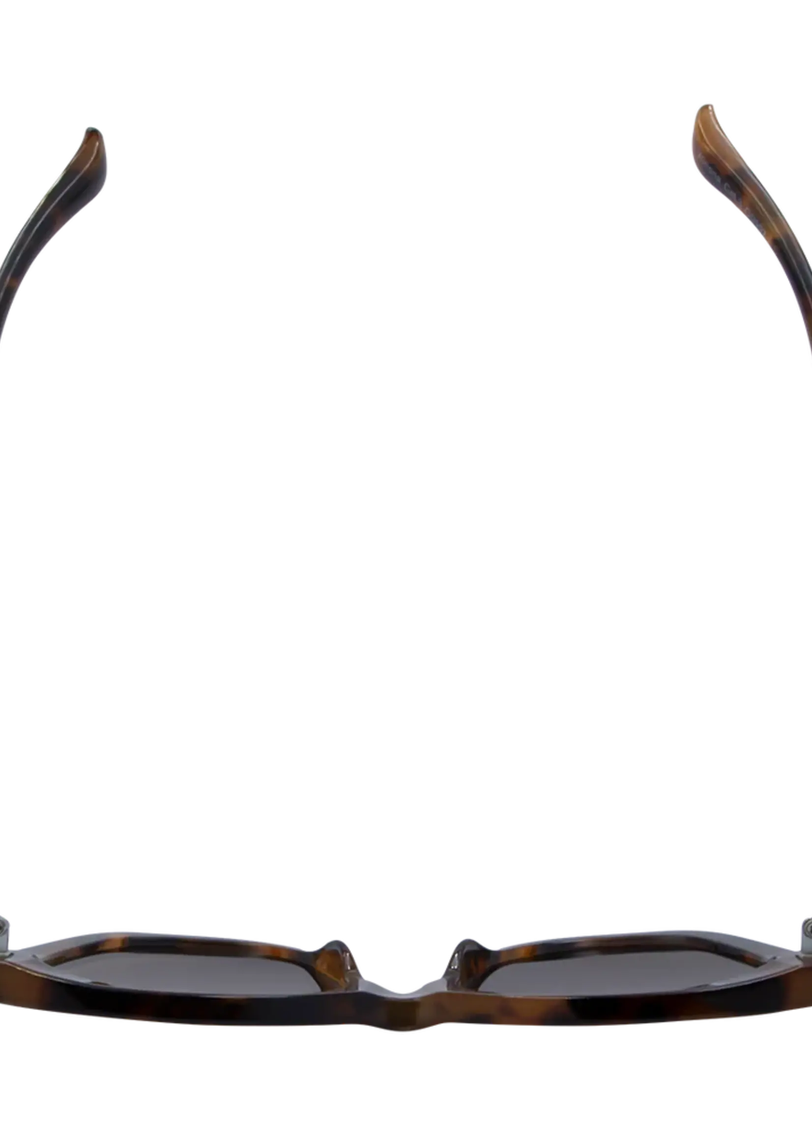 One Day Winona Sunglasses - Tortoise Brown