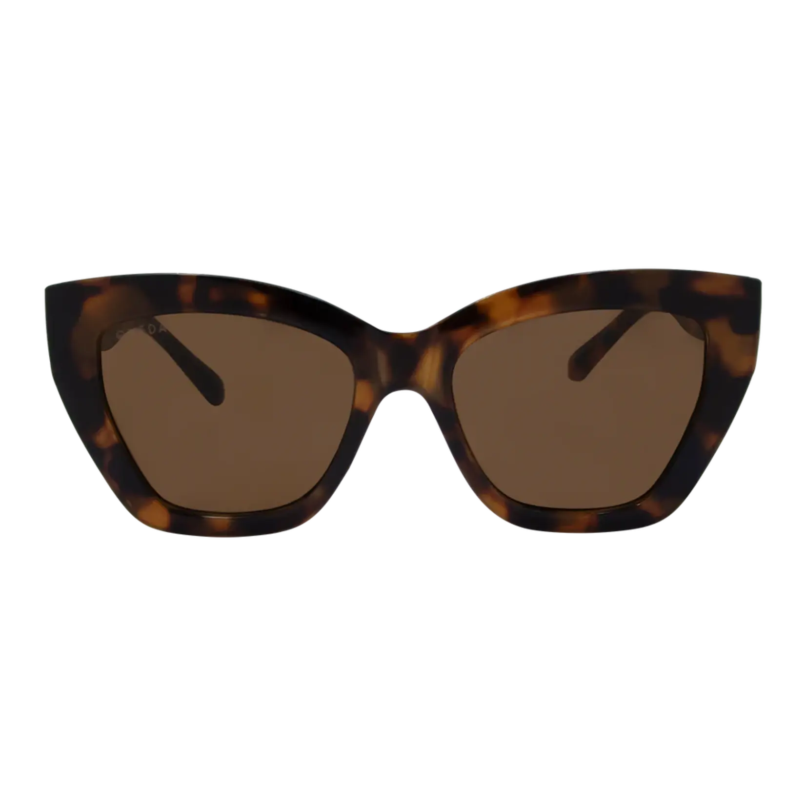 One Day Winona Sunglasses - Tortoise Brown