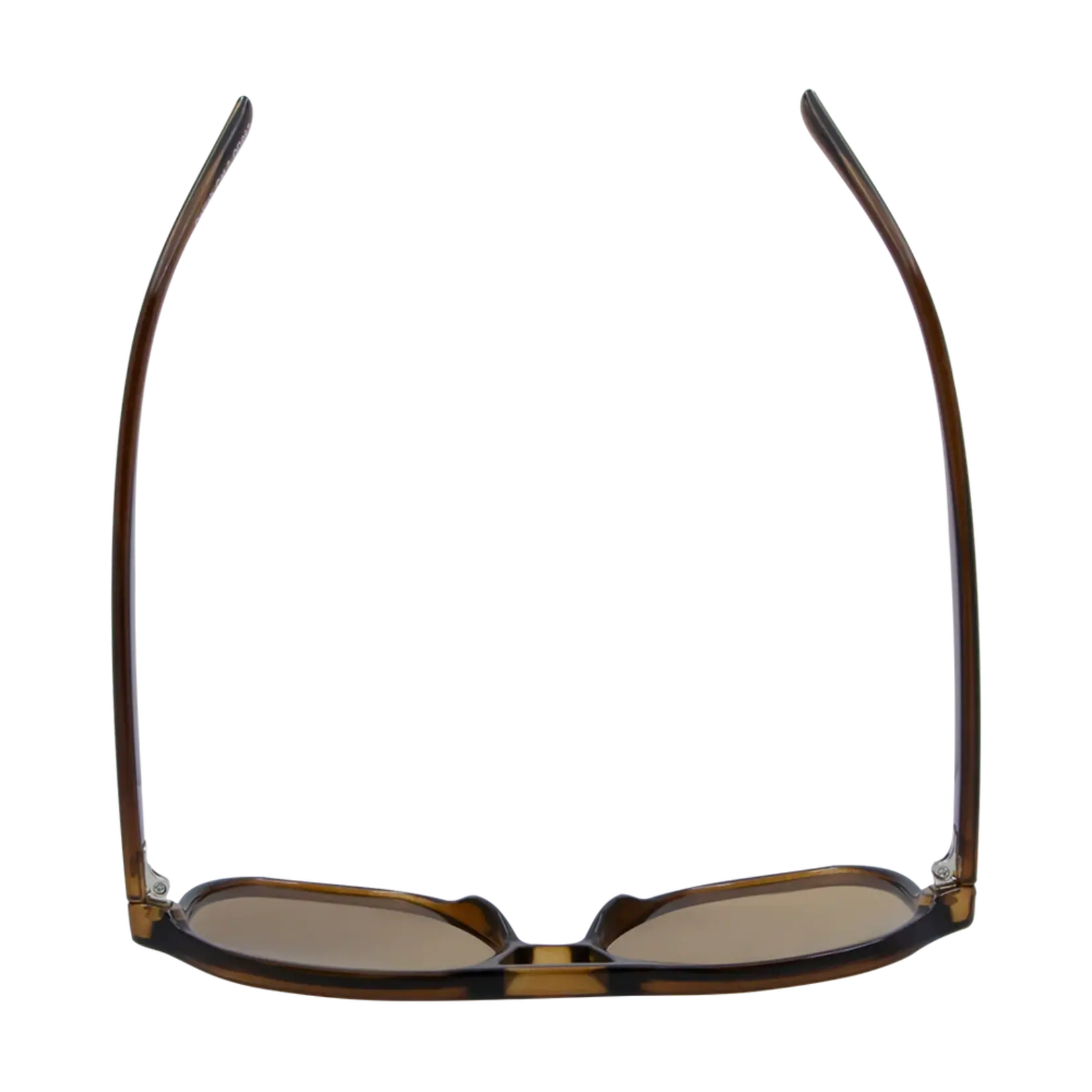 One Day Delilah Sunglasses - Brown Brown