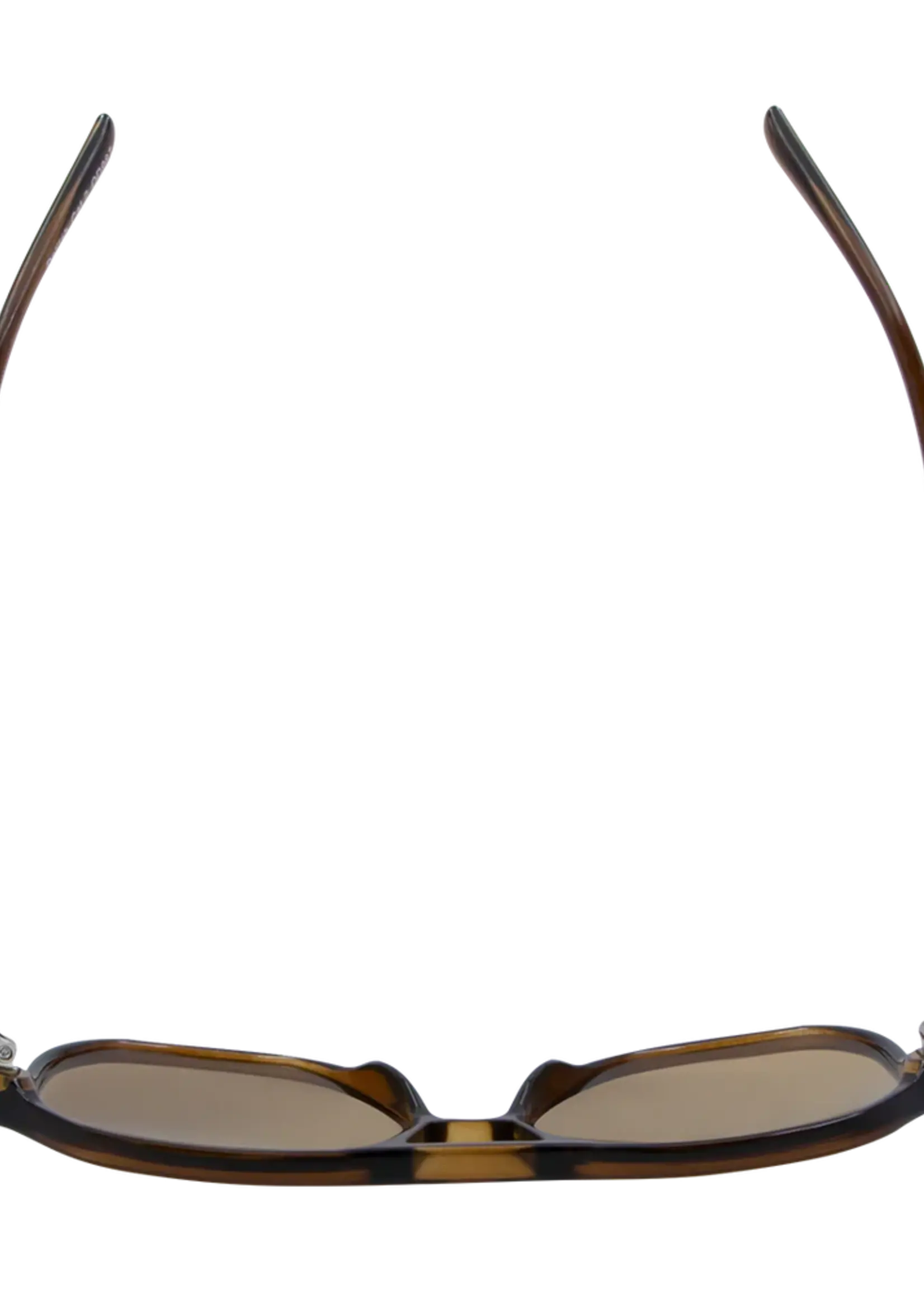 One Day Delilah Sunglasses - Brown Brown