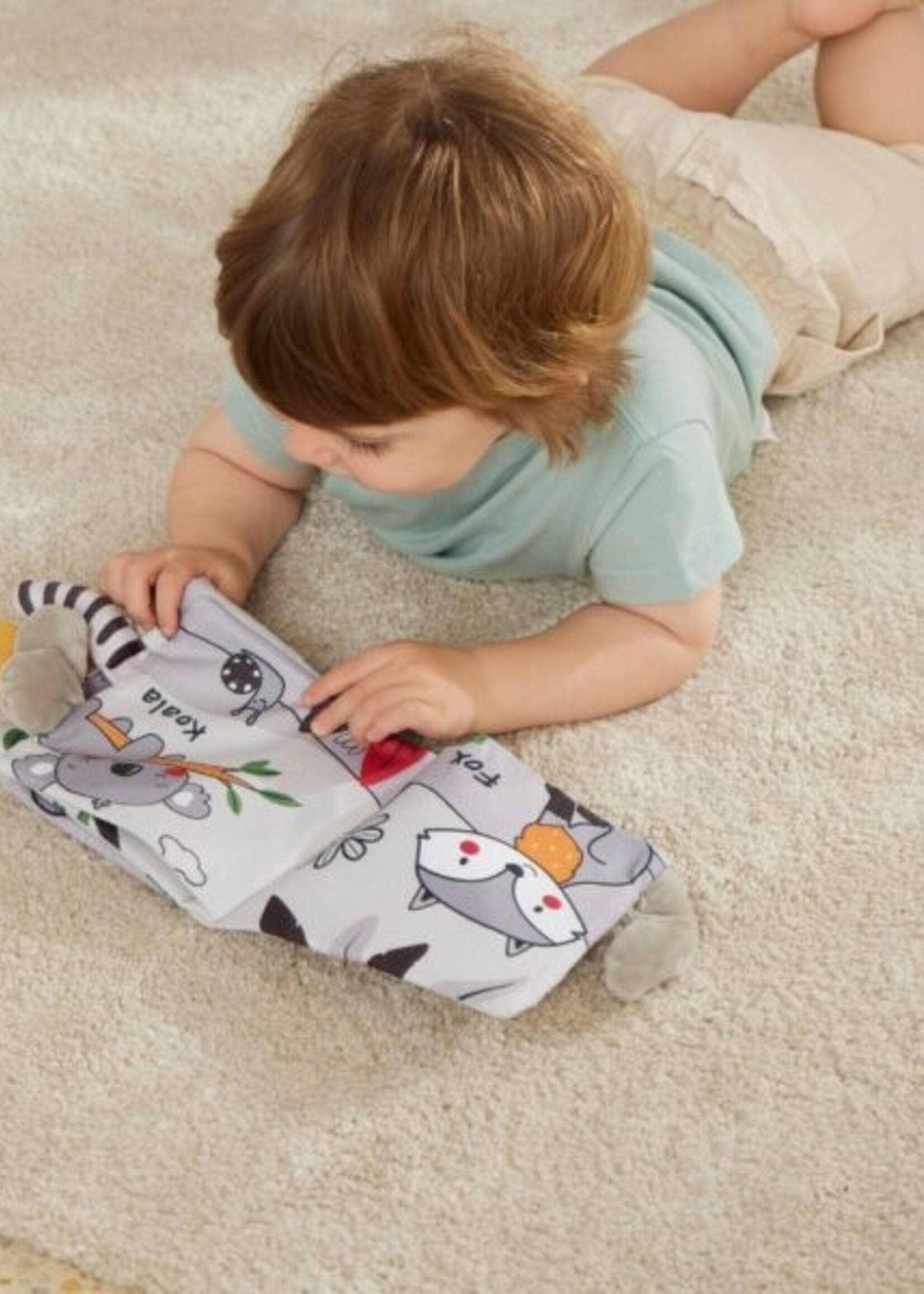 Jiggle & Giggle Animals Fabric Books - Asst Designs