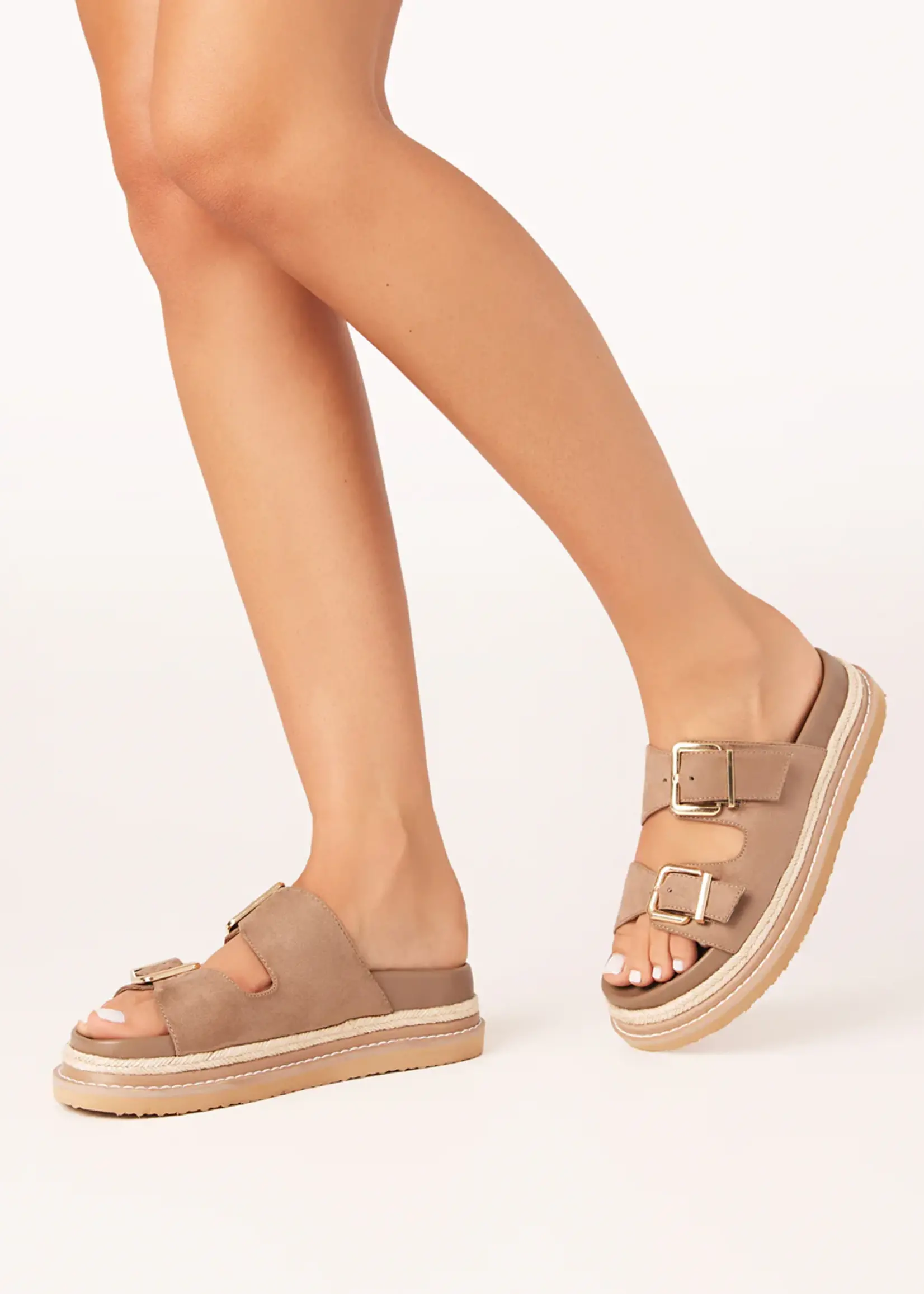 Billini Alder Shoe - Fawn Suede