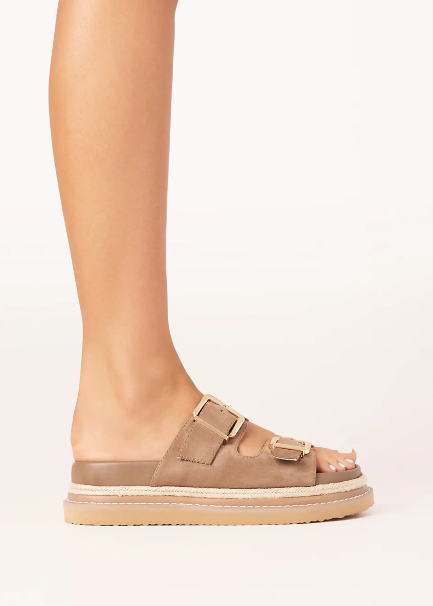 Billini Alder Shoe - Fawn Suede