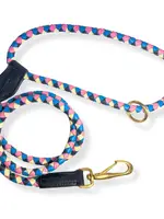 Georgie Paws Beach Lead